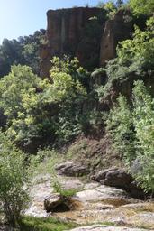 Slickrock floor in rock creek [sat may 26 09:29:06 mdt 2018]